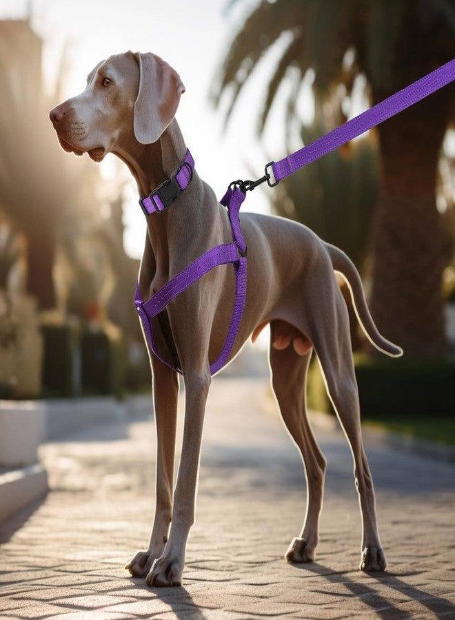 مايل هاي لايف طقم طوق ومقود وحزام للكلاب الصغيرة من مايل هاي لايف، عاكس للضوء، مزدوج الشريط قابل للتعديل، مصنوع من النايلون (لون بنفسجي داكن عاكس، كبير (عبوة من 3 قطع)) - Image 2